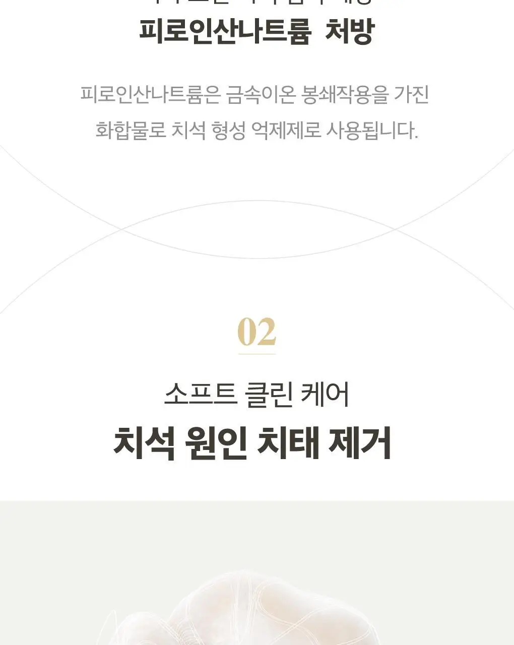 [치석케어] 루치펠로 화이트펄오션 치약 100g 기획(+25G 증정) 상세페이지 4